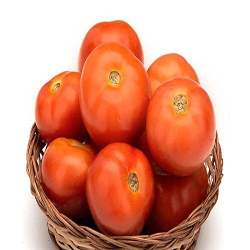 Organic and Natural Fresh Tomato