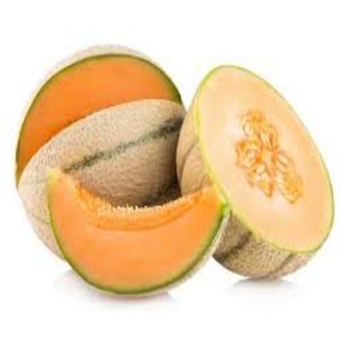 Organic Healthy And Natural Fresh Muskmelon