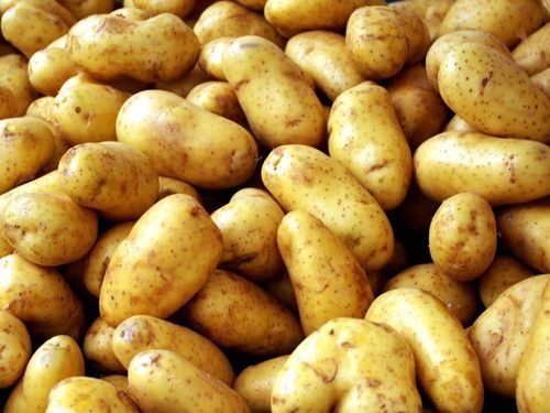 Round Healthy And Natural Fresh Organic Potato