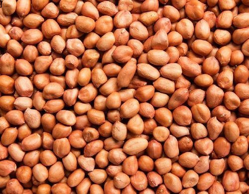 Common Healthy And Natural Raw Java Peanuts