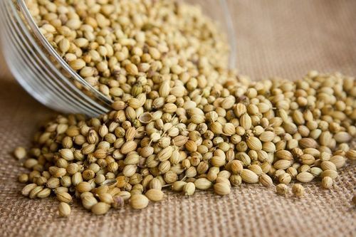 Organic Dried Coriander Seeds