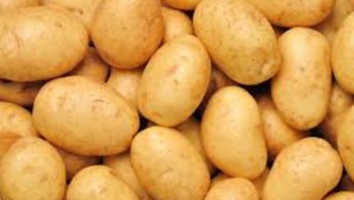 Farm Fresh Organic Potato