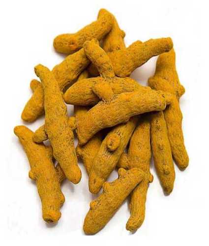 Finger Sangli Turmeric