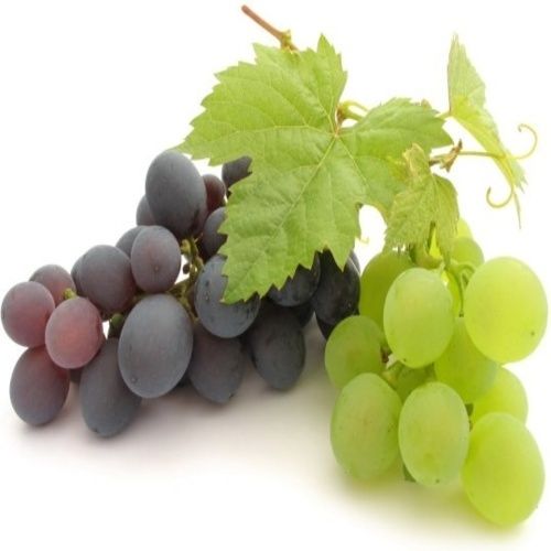 Healthy and Natural Fresh Grapes