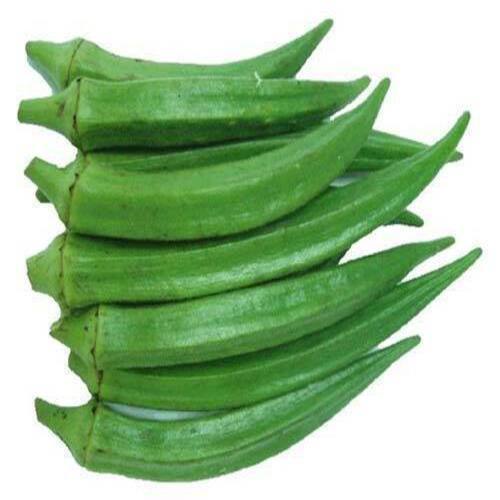 Healthy And Natural Fresh Okra Good Quality