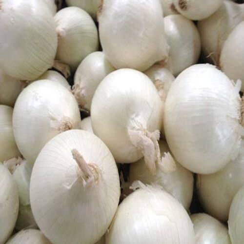 Round Healthy And Natural Fresh White Onion