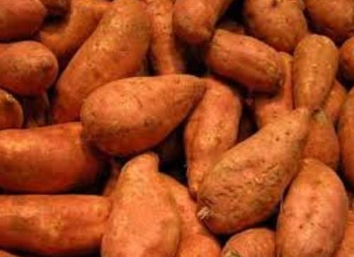 Indian Organic Sweet Potato
