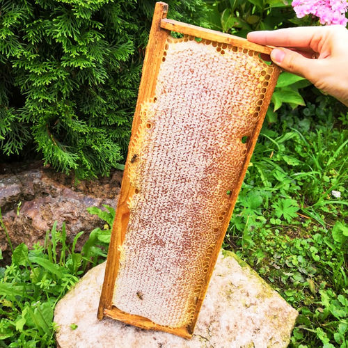 Optimum Purity Natural Honey