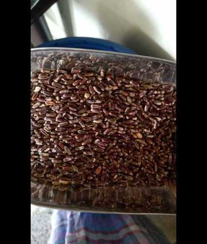 Organic Black Wheat  Grade: A