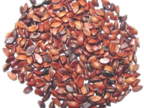 Organic Dried Hybrid Amla Seeds