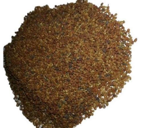 Organic Dried Kalmegh Hybrid Seeds