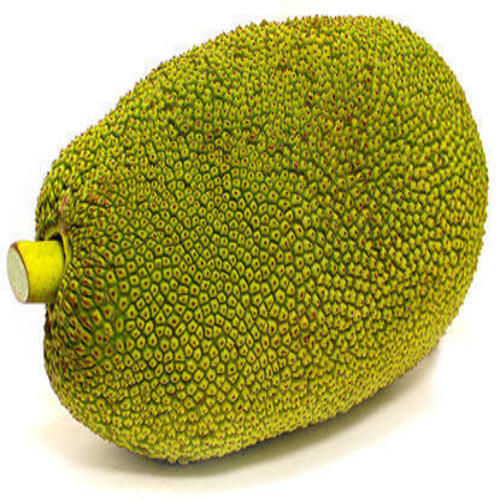 Healthy and Natural Fresh Jackfruit