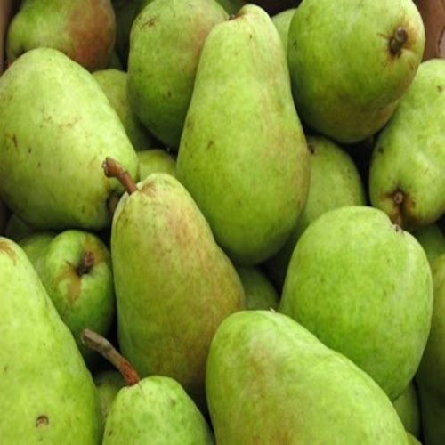 Green Healthy And Natural Fresh Pears