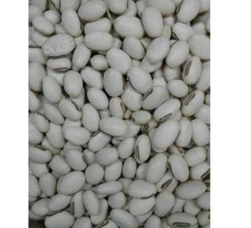 Hybrid White Kaunch Seeds