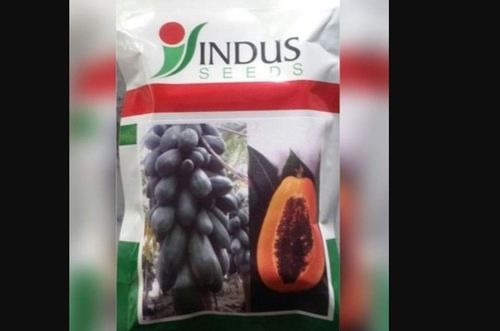 Indus Papaya Fruit Seed
