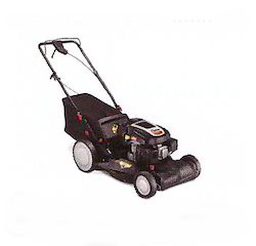 Black Rotary Petrol Lawn Mower