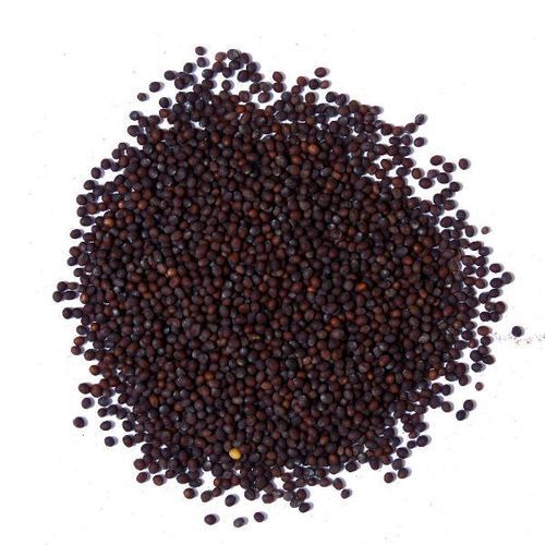 Healthy and Natural Brown Mustard Seeds