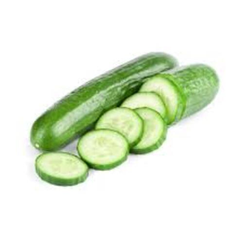 Healthy and Natural Fresh Cucumber