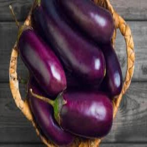 Healthy and Natural Fresh Eggplant