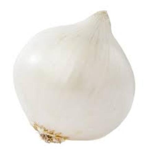 Round Healthy And Natural Fresh White Onion