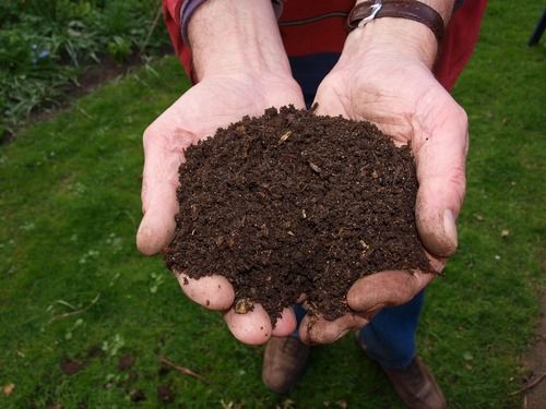 Brown Coco Peat Powder