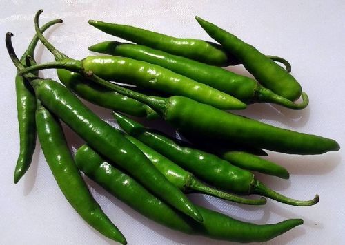 Healthy and Natural Fresh Green Chilli