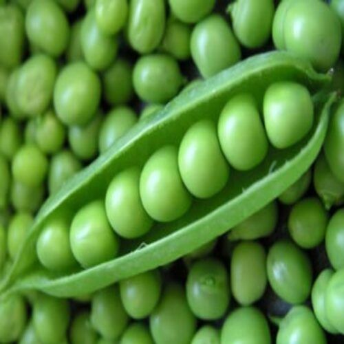 Organic Natural Green Peas - 99% Purity, Fresh & Hygienic for Cooking, Good for Health, 15% Moisture