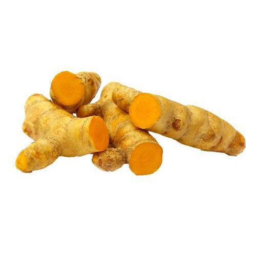 Healthy and Natural Fresh Turmeric Finger