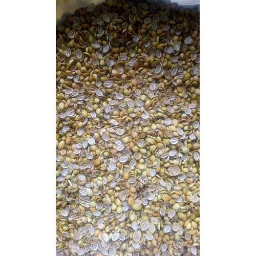Healthy and Natural Scooter Split Coriander Seeds