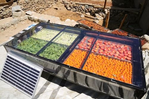 Solar Vegetable Dryer with 1 Year Warranty