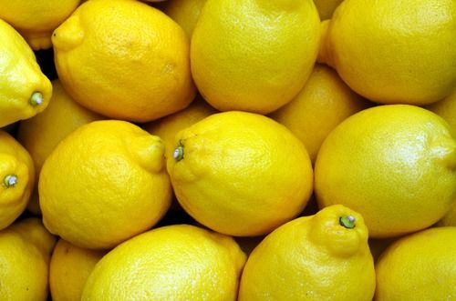 100% Fresh Natural Round Lemon