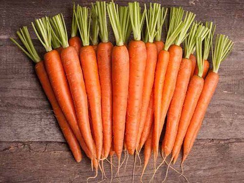 Healthy and Natural Fresh Carrot