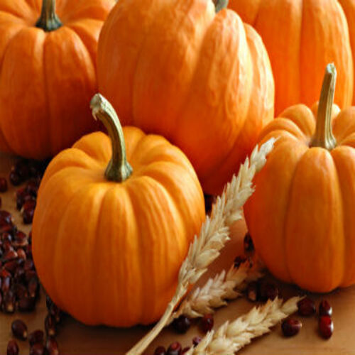 Healthy And Natural Fresh Red Pumpkin