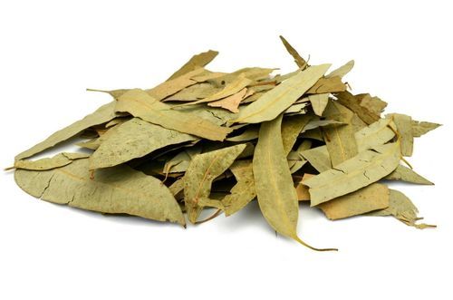 Whole Dried Eucalyptus Herb Leaves