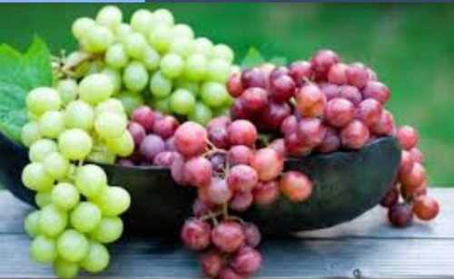 Grapes Grapes