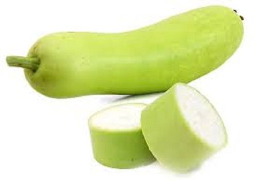 Healthy And Natural Fresh Bottle Gourd Application: Pool