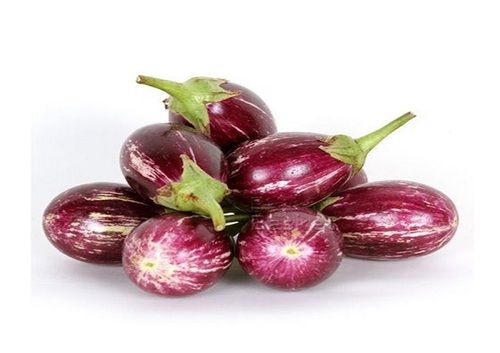 Healthy And Natural Fresh Brinjal