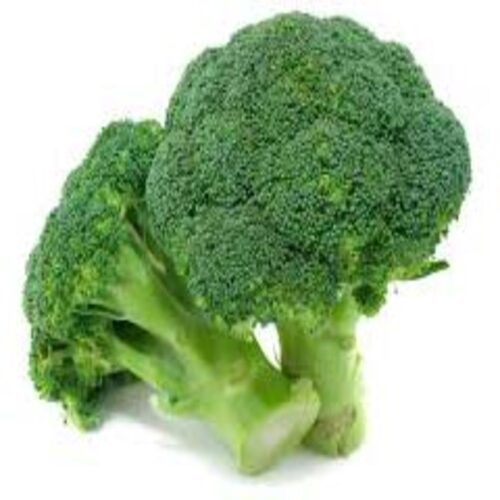 Healthy and Natural Fresh Broccoli