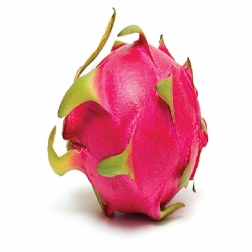 Organic Healthy And Natural Fresh Dragon Fruit