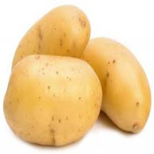 Round Healthy And Natural Fresh Potato