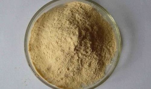 Whey Protein Hydrolysate Powder Efficacy: Promote Nutrition