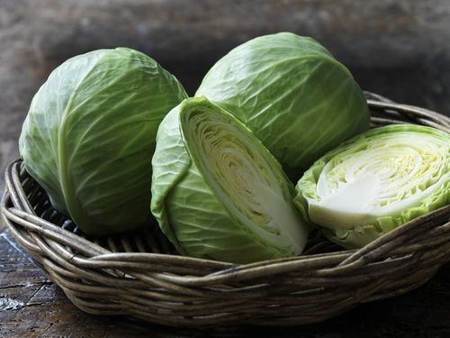 Healthy And Natural Fresh Cabbage