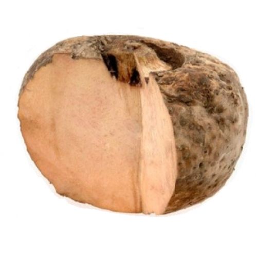 Wood Healthy And Natural Fresh Elephant Foot Yam