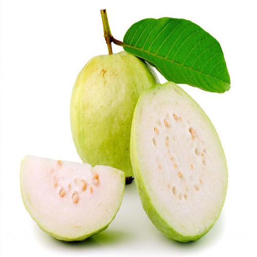 Green Healthy And Natural Fresh Guava