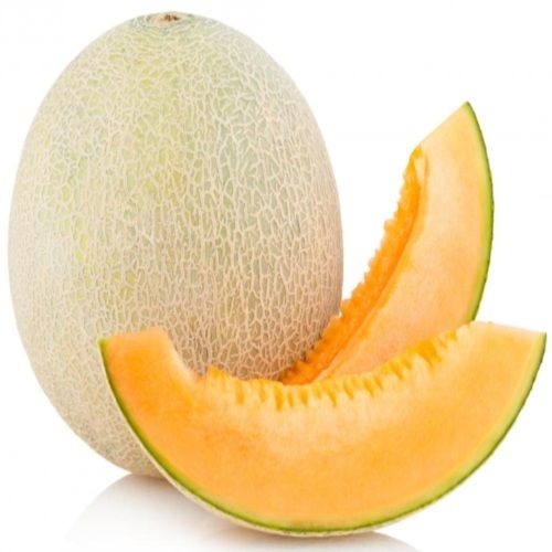 Healthy And Natural Fresh Muskmelon Size: Standard