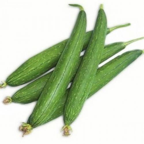 Healthy and Natural Fresh Sponge Gourd