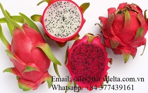 Natural Sweet Dragon Fruit