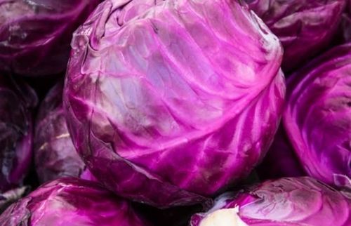 A Grade Fresh Red Cabbages