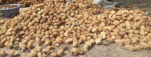 Wholesale Price Semi Husked Coconut