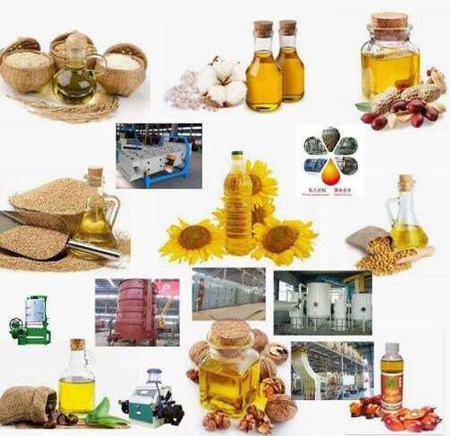 Edible Oil Refinery Plant - 10021